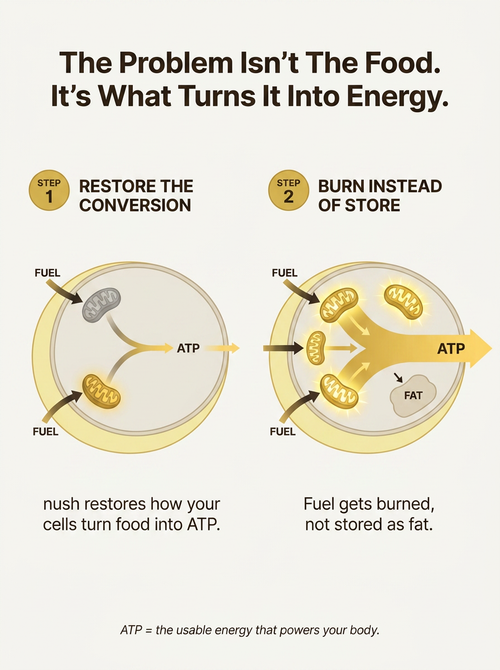 How nush works: restore the conversion, burn instead of store